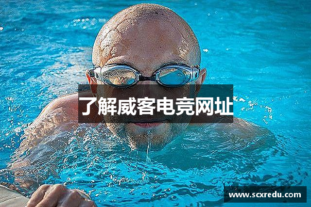 了解威客电竞网址